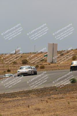 media/May-03-2025-Lucky Dog Racing (Sat) [[206de64b9d]]/Turn 6 (150pm-230pm)/